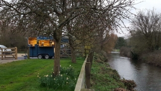Brew Box by the river, surrounded by trees and daffodils